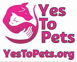 Yes To Pets